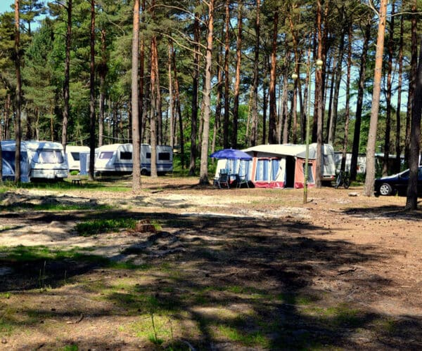 Pole namiotowe - 12
