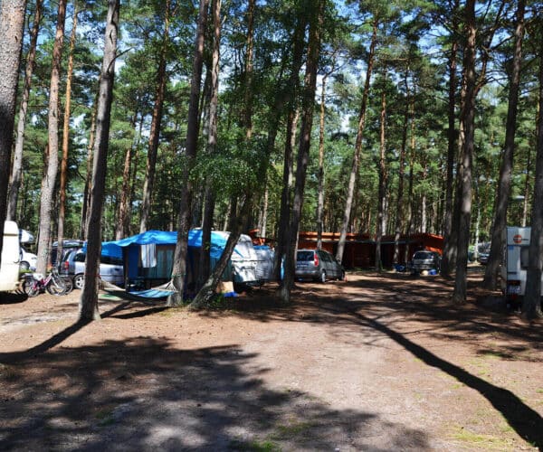 Pole namiotowe - 15
